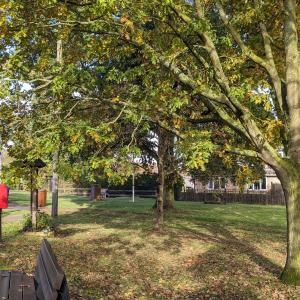 Memorial green Oct 23