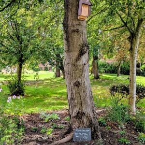 Chestnut Crescent WFV