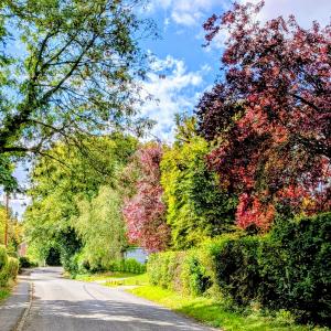 Queen's Lane