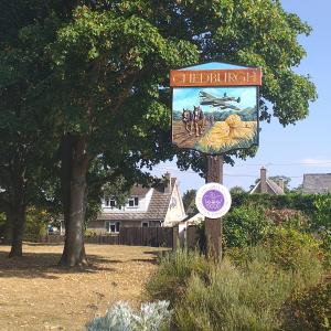 village green summer 2024